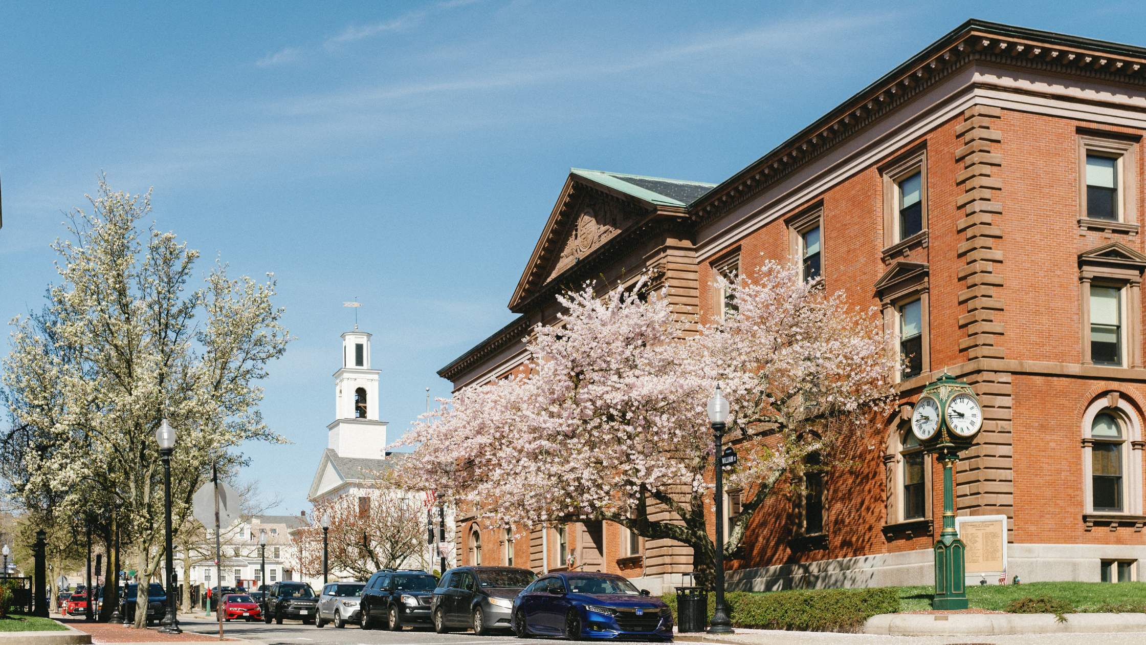 Trees in bloom in the Spring in front of New Bedford City Hall in New Bedford, Massachusetts.