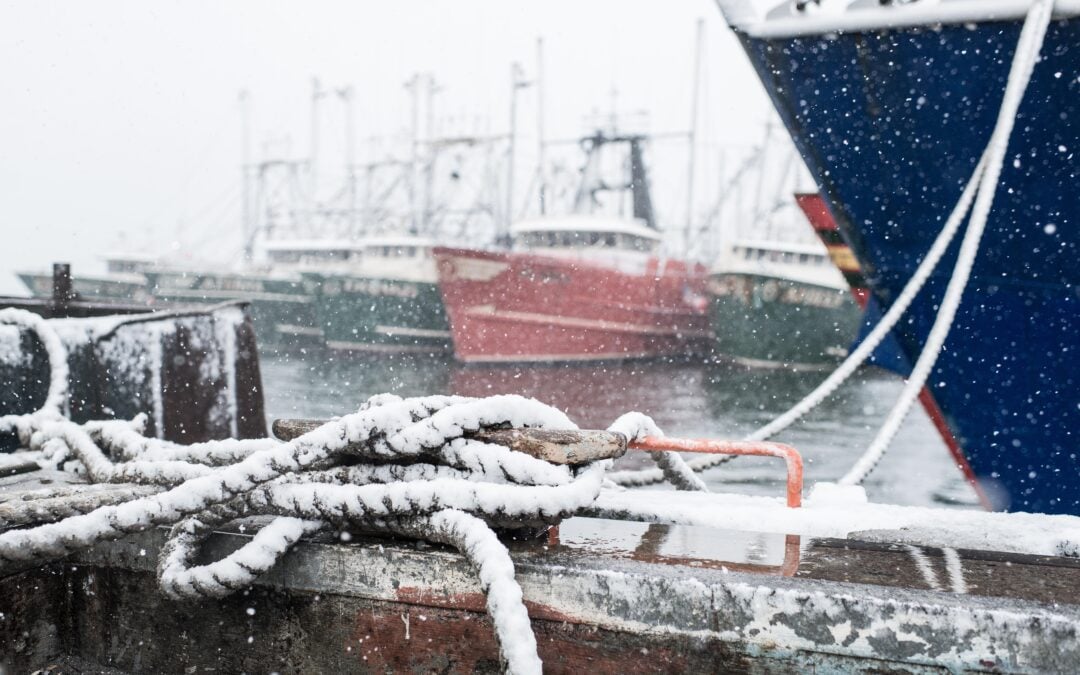 10+ Things to Explore this Winter