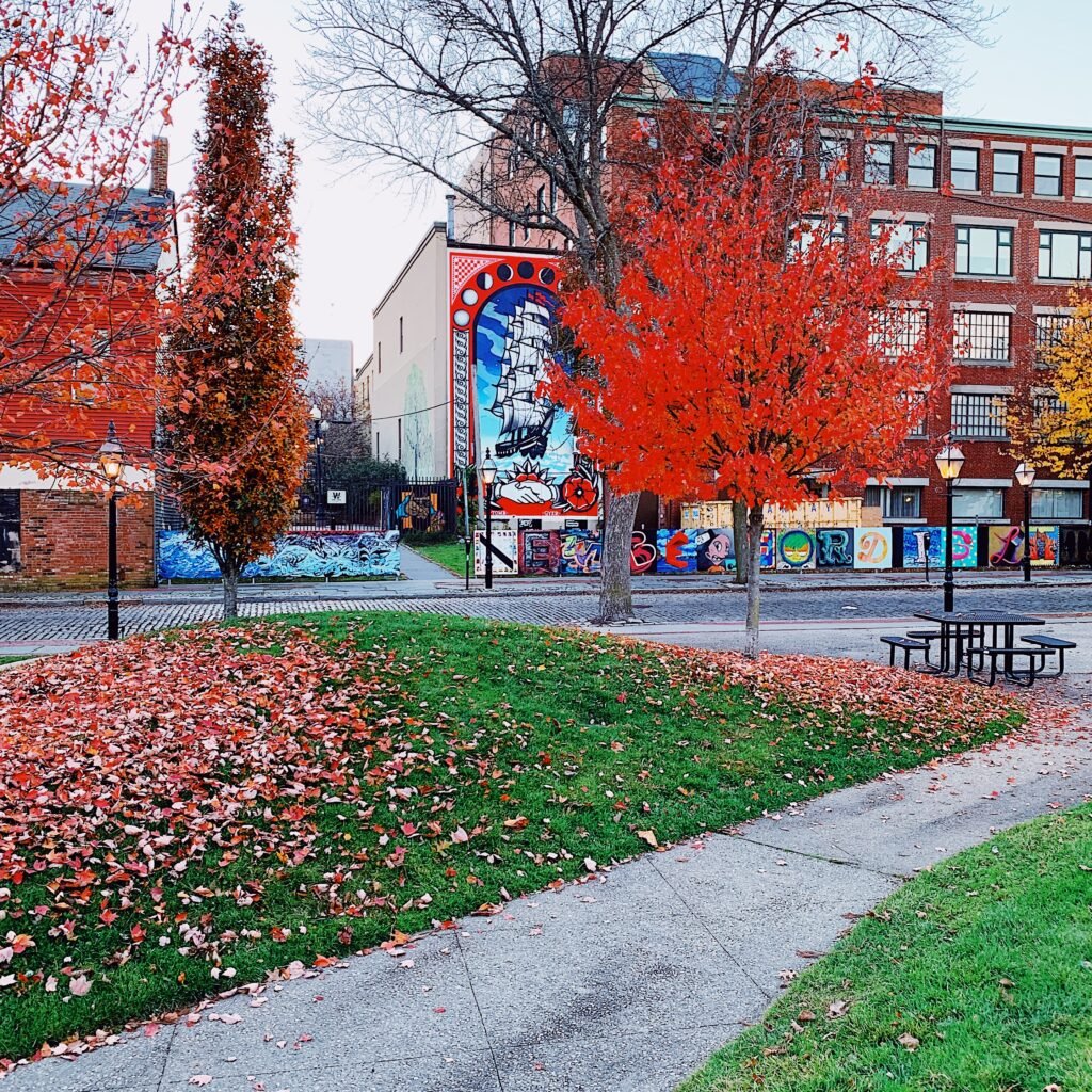 Fall foliage in a park in the Seaport Cultural District of New Bedford, Massachusetts, with a mural of a fishing ship on the wall of a building. 